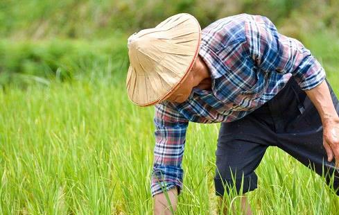 農(nóng)村俗語(yǔ) 窮在鬧市無(wú)人問, 富在山間有遠(yuǎn)親 , 事實(shí)真是這樣嗎