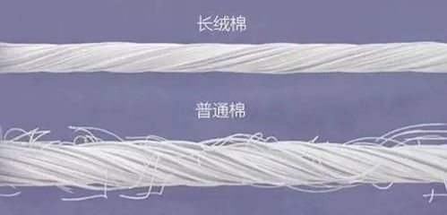 北歐風(fēng)床品新寵 毛腈混紗，如何用簡(jiǎn)約美學(xué)打造高級(jí)睡眠空間？